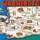 Vintage Washington State Postcard Collection | Old Stamp Collecting Guide: Discover, Value & Preserve Vintage Stamps