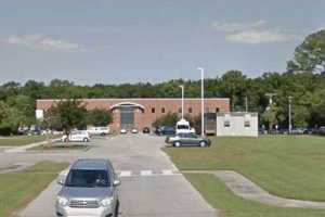Baldwin County AL Food Stamp Office: Your Guide Old Stamp Collecting Guide: Discover, Value & Preserve Vintage Stamps Baldwin County AL Food Stamp Office: Your Guide | Old Stamp Collecting Guide: Discover, Value & Preserve Vintage Stamps