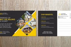 How Effective Is Postcard Marketing Old Stamp Collecting Guide: Discover, Value & Preserve Vintage Stamps How Effective Is Postcard Marketing | Old Stamp Collecting Guide: Discover, Value & Preserve Vintage Stamps