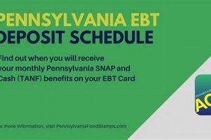 PA Food Stamp Calendar 2024: Dates & Guide Old Stamp Collecting Guide: Discover, Value & Preserve Vintage Stamps PA Food Stamp Calendar 2024: Dates & Guide | Old Stamp Collecting Guide: Discover, Value & Preserve Vintage Stamps