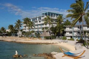 Discover the Postcard Inn: Florida Keys Getaway Old Stamp Collecting Guide: Discover, Value & Preserve Vintage Stamps Discover the Postcard Inn: Florida Keys Getaway | Old Stamp Collecting Guide: Discover, Value & Preserve Vintage Stamps