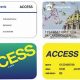 PA Food Stamp Card: Your Guide &amp; Benefits | Old Stamp Collecting Guide: Discover, Value & Preserve Vintage Stamps