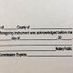 Official Notary Acknowledgment Stamp Requirements & Guide | Old Stamp Collecting Guide: Discover, Value & Preserve Vintage Stamps