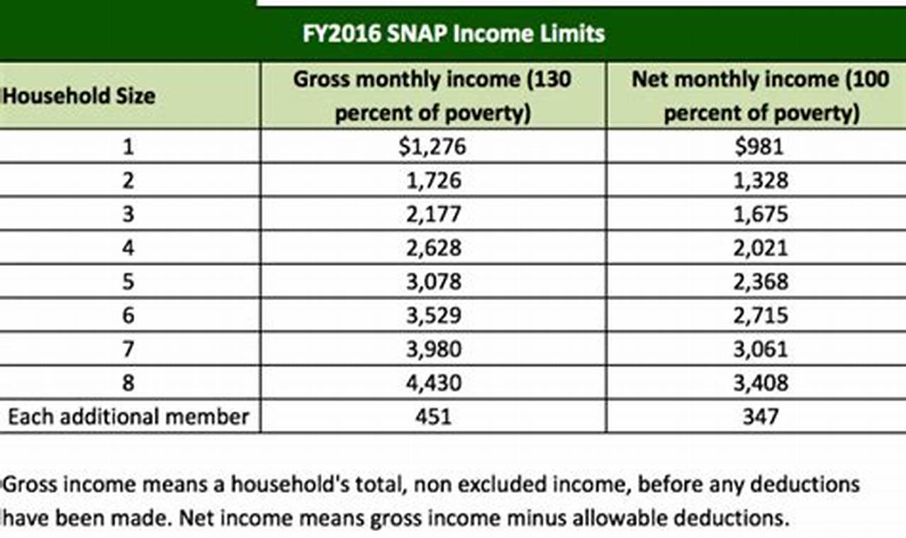TN Food Stamp Eligibility Requirements & Guide