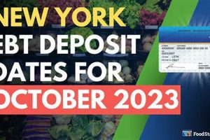 Check Your NYC Food Stamp Balance Now | Old Stamp Collecting Guide: Discover, Value & Preserve Vintage Stamps