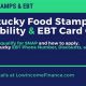 Kentucky Food Stamp Guide &amp; Application | Old Stamp Collecting Guide: Discover, Value & Preserve Vintage Stamps
