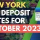 Ny Food Stamp Balance Number | Old Stamp Collecting Guide: Discover, Value & Preserve Vintage Stamps