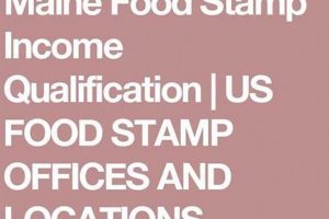Find Your Weslaco Food Stamp Office Location Old Stamp Collecting Guide: Discover, Value & Preserve Vintage Stamps Find Your Weslaco Food Stamp Office Location | Old Stamp Collecting Guide: Discover, Value & Preserve Vintage Stamps