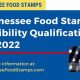 TN Food Stamp Eligibility Requirements Guide | Old Stamp Collecting Guide: Discover, Value & Preserve Vintage Stamps
