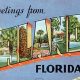 Vintage Postcard Orlando: City Beautiful | Old Stamp Collecting Guide: Discover, Value & Preserve Vintage Stamps
