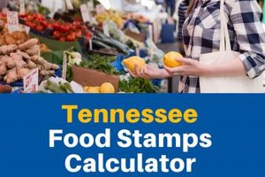 TN Food Stamp Calculator: Check Eligibility & Benefits Old Stamp Collecting Guide: Discover, Value & Preserve Vintage Stamps TN Food Stamp Calculator: Check Eligibility & Benefits | Old Stamp Collecting Guide: Discover, Value & Preserve Vintage Stamps