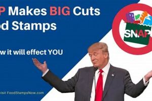 Impact of Food Stamp Benefit Cuts on Families Old Stamp Collecting Guide: Discover, Value & Preserve Vintage Stamps Impact of Food Stamp Benefit Cuts on Families | Old Stamp Collecting Guide: Discover, Value & Preserve Vintage Stamps