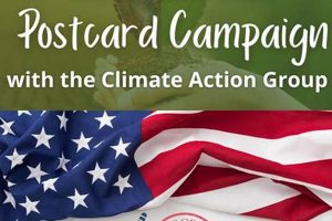 Winning Postcard Campaigns for 2024 Elections Old Stamp Collecting Guide: Discover, Value & Preserve Vintage Stamps Winning Postcard Campaigns for 2024 Elections | Old Stamp Collecting Guide: Discover, Value & Preserve Vintage Stamps