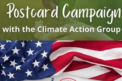 Winning Postcard Campaigns for 2024 Elections Old Stamp Collecting Guide: Discover, Value & Preserve Vintage Stamps Winning Postcard Campaigns for 2024 Elections | Old Stamp Collecting Guide: Discover, Value & Preserve Vintage Stamps