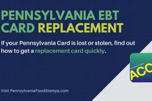 Get Your Replacement Food Stamp Card Now Old Stamp Collecting Guide: Discover, Value & Preserve Vintage Stamps Get Your Replacement Food Stamp Card Now | Old Stamp Collecting Guide: Discover, Value & Preserve Vintage Stamps