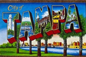 Discover Tampa's Vibrant Postcard Murals Today! Old Stamp Collecting Guide: Discover, Value & Preserve Vintage Stamps Discover Tampa's Vibrant Postcard Murals Today! | Old Stamp Collecting Guide: Discover, Value & Preserve Vintage Stamps