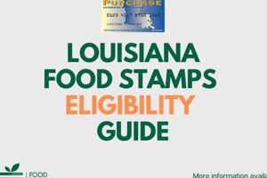 Louisiana Food Stamp Eligibility Requirements & Guide Old Stamp Collecting Guide: Discover, Value & Preserve Vintage Stamps Louisiana Food Stamp Eligibility Requirements & Guide | Old Stamp Collecting Guide: Discover, Value & Preserve Vintage Stamps