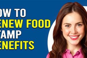 Renew Food Stamp Benefits: Easy Guide & Tips Old Stamp Collecting Guide: Discover, Value & Preserve Vintage Stamps Renew Food Stamp Benefits: Easy Guide & Tips | Old Stamp Collecting Guide: Discover, Value & Preserve Vintage Stamps