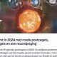 The Decline of Stamp Collecting: A Deep Dive | Old Stamp Collecting Guide: Discover, Value & Preserve Vintage Stamps