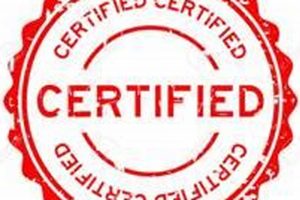 Court Seal Stamp Old Stamp Collecting Guide: Discover, Value & Preserve Vintage Stamps Court Seal Stamp | Old Stamp Collecting Guide: Discover, Value & Preserve Vintage Stamps