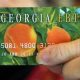 Georgia EBT Card Number: Accessing Food Stamp Benefits | Old Stamp Collecting Guide: Discover, Value & Preserve Vintage Stamps