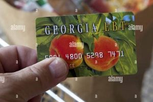 Lost Your EBT Card? Get a New One Fast! | Old Stamp Collecting Guide: Discover, Value & Preserve Vintage Stamps