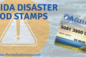 Florida Disaster Food Stamp Program Old Stamp Collecting Guide: Discover, Value & Preserve Vintage Stamps Florida Disaster Food Stamp Program | Old Stamp Collecting Guide: Discover, Value & Preserve Vintage Stamps