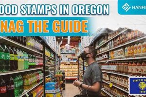 Greene County Food Stamp Office: Springfield MO Guide Old Stamp Collecting Guide: Discover, Value & Preserve Vintage Stamps Greene County Food Stamp Office: Springfield MO Guide | Old Stamp Collecting Guide: Discover, Value & Preserve Vintage Stamps