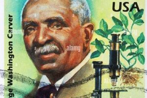 Honoring Carver: A Postage Stamp Legacy Old Stamp Collecting Guide: Discover, Value & Preserve Vintage Stamps Honoring Carver: A Postage Stamp Legacy | Old Stamp Collecting Guide: Discover, Value & Preserve Vintage Stamps