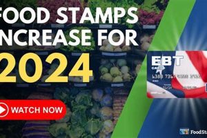 SNAP Benefits Increase 2024: What to Expect Old Stamp Collecting Guide: Discover, Value & Preserve Vintage Stamps SNAP Benefits Increase 2024: What to Expect | Old Stamp Collecting Guide: Discover, Value & Preserve Vintage Stamps