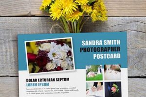 Creative Postcard Announcements: Design & Ideas Old Stamp Collecting Guide: Discover, Value & Preserve Vintage Stamps Creative Postcard Announcements: Design & Ideas | Old Stamp Collecting Guide: Discover, Value & Preserve Vintage Stamps