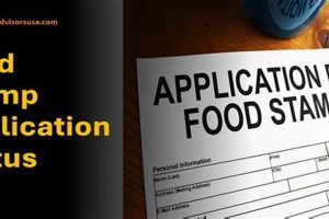 Check TN Food Stamp Application Status Online Old Stamp Collecting Guide: Discover, Value & Preserve Vintage Stamps Check TN Food Stamp Application Status Online | Old Stamp Collecting Guide: Discover, Value & Preserve Vintage Stamps