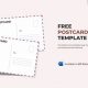Free Word Postcard Templates: Design & Print | Old Stamp Collecting Guide: Discover, Value & Preserve Vintage Stamps