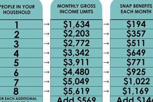 Find Your Elizabethton, TN Food Stamp Office Old Stamp Collecting Guide: Discover, Value & Preserve Vintage Stamps Find Your Elizabethton, TN Food Stamp Office | Old Stamp Collecting Guide: Discover, Value & Preserve Vintage Stamps