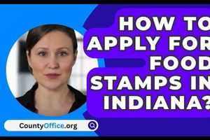 Find Gary, Indiana Food Stamp Office Locations Old Stamp Collecting Guide: Discover, Value & Preserve Vintage Stamps Find Gary, Indiana Food Stamp Office Locations | Old Stamp Collecting Guide: Discover, Value & Preserve Vintage Stamps