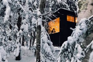 Cozy Postcard Cabins on Willow River: Book Now Old Stamp Collecting Guide: Discover, Value & Preserve Vintage Stamps Cozy Postcard Cabins on Willow River: Book Now | Old Stamp Collecting Guide: Discover, Value & Preserve Vintage Stamps