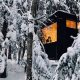 Cozy Postcard Cabins on Willow River: Book Now | Old Stamp Collecting Guide: Discover, Value & Preserve Vintage Stamps
