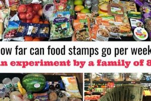 Take the Food Stamp Challenge: Live the Reality Old Stamp Collecting Guide: Discover, Value & Preserve Vintage Stamps Take the Food Stamp Challenge: Live the Reality | Old Stamp Collecting Guide: Discover, Value & Preserve Vintage Stamps