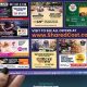 Effective Postcard Mailer Cost Strategies | Old Stamp Collecting Guide: Discover, Value & Preserve Vintage Stamps