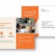 Effective Postcard Direct Mailing Strategies | Old Stamp Collecting Guide: Discover, Value & Preserve Vintage Stamps