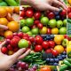 Disadvantages Of Food Stamp Program | Old Stamp Collecting Guide: Discover, Value & Preserve Vintage Stamps