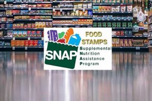 Florida SNAP Food Stamp Guide & Application Old Stamp Collecting Guide: Discover, Value & Preserve Vintage Stamps Florida SNAP Food Stamp Guide & Application | Old Stamp Collecting Guide: Discover, Value & Preserve Vintage Stamps