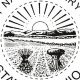 Ohio Notary Public Stamp Requirements & Guide | Old Stamp Collecting Guide: Discover, Value & Preserve Vintage Stamps