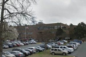 Find Your Rock Hill, SC Food Stamp Office Old Stamp Collecting Guide: Discover, Value & Preserve Vintage Stamps Find Your Rock Hill, SC Food Stamp Office | Old Stamp Collecting Guide: Discover, Value & Preserve Vintage Stamps