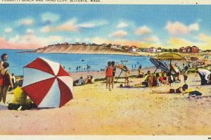 Vintage Beach Postcard Old Stamp Collecting Guide: Discover, Value & Preserve Vintage Stamps Vintage Beach Postcard | Old Stamp Collecting Guide: Discover, Value & Preserve Vintage Stamps