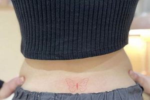 Hiding Tramp Stamp Old Stamp Collecting Guide: Discover, Value & Preserve Vintage Stamps Hiding Tramp Stamp | Old Stamp Collecting Guide: Discover, Value & Preserve Vintage Stamps