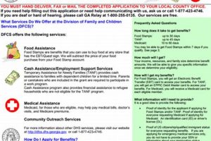 Apply for Food Stamps: GA Gateway Guide Old Stamp Collecting Guide: Discover, Value & Preserve Vintage Stamps Apply for Food Stamps: GA Gateway Guide | Old Stamp Collecting Guide: Discover, Value & Preserve Vintage Stamps