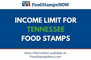 TN Food Stamp Income Limits: A 2024 Guide Old Stamp Collecting Guide: Discover, Value & Preserve Vintage Stamps TN Food Stamp Income Limits: A 2024 Guide | Old Stamp Collecting Guide: Discover, Value & Preserve Vintage Stamps