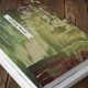 Capture the Perfect Postcard Event Moment | Old Stamp Collecting Guide: Discover, Value & Preserve Vintage Stamps