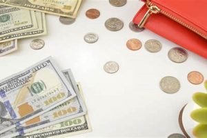Stop Food Stamp Hacker Scams & Protect EBT Old Stamp Collecting Guide: Discover, Value & Preserve Vintage Stamps Stop Food Stamp Hacker Scams & Protect EBT | Old Stamp Collecting Guide: Discover, Value & Preserve Vintage Stamps